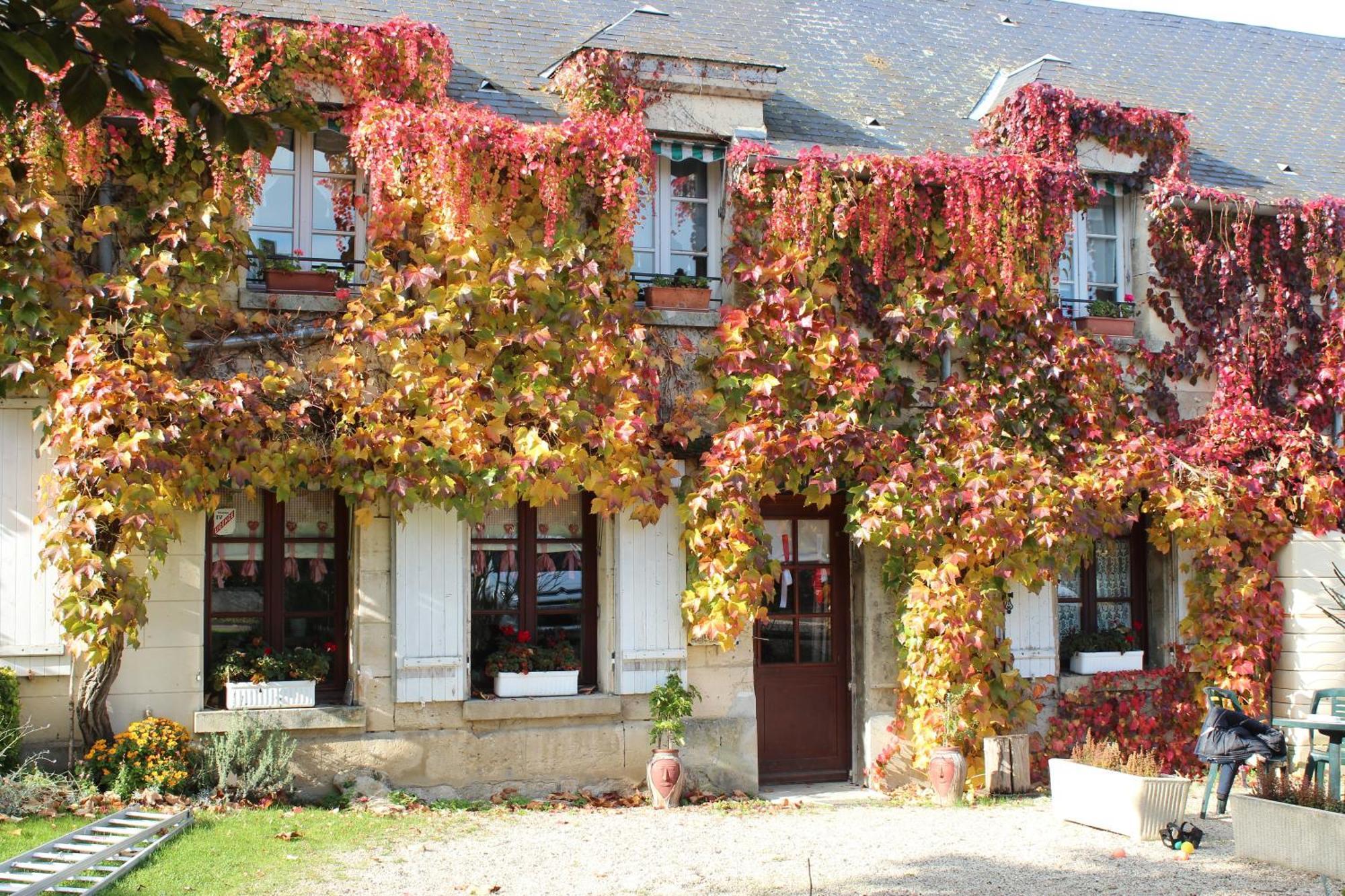 Ma Gentilhommiere Croutoy Exterior foto